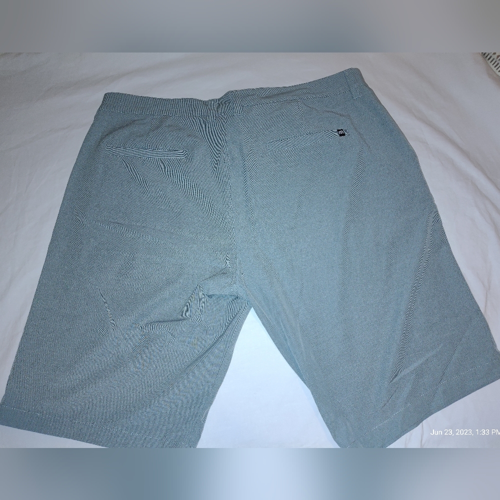 Men's Sage Walking Shorts